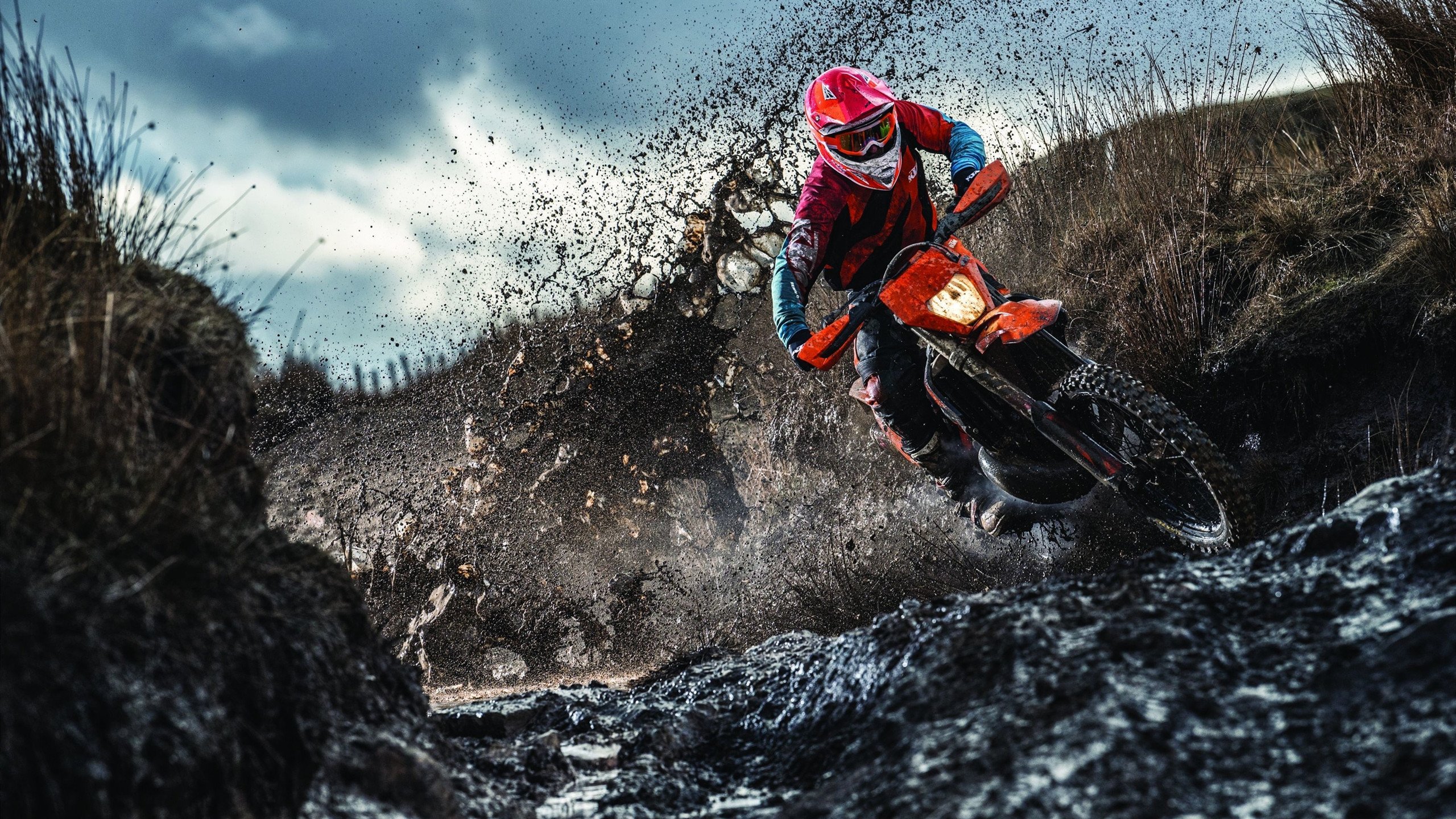 球迷“狂欢夜”：盛大的篮球嘉年华带给你无限激情，篮球嘉年华是什么意思