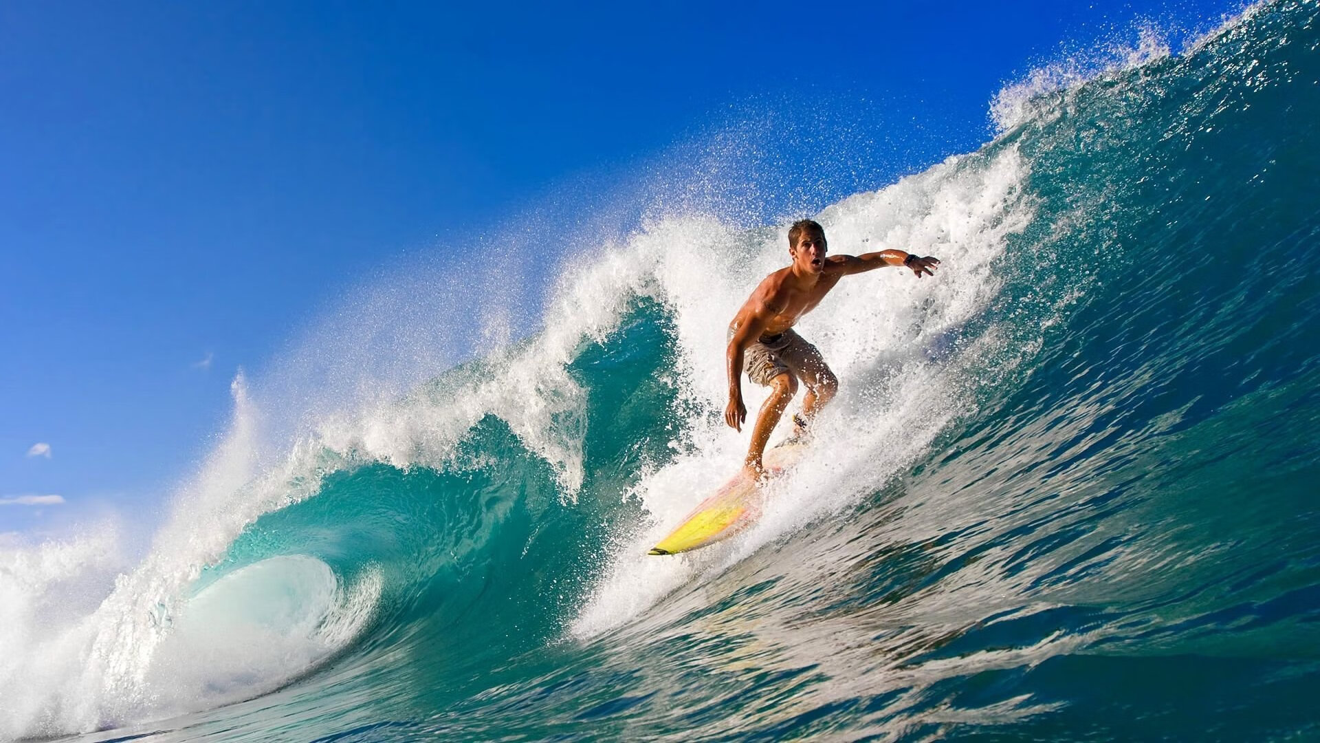 球迷“狂欢夜”：盛大的篮球嘉年华带给你无限激情，篮球嘉年华是什么意思